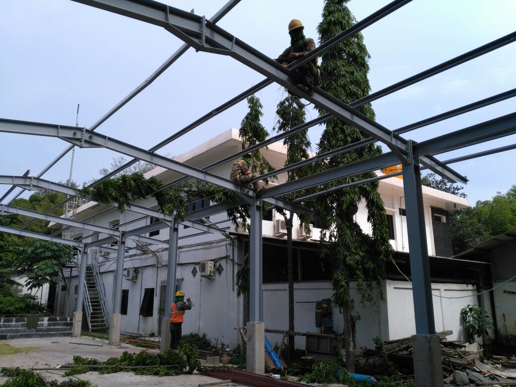 Scaffolding 2