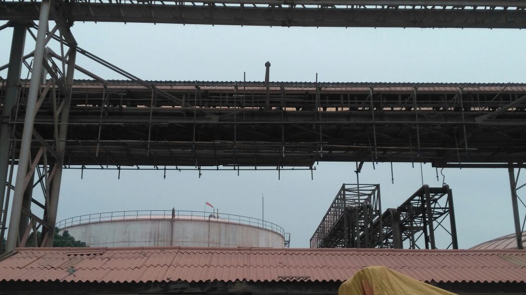 Scaffolding 2